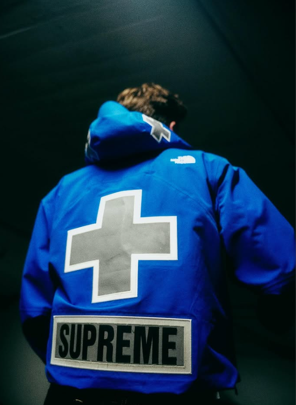 Supreme x The North Face blue jacket, back graphic