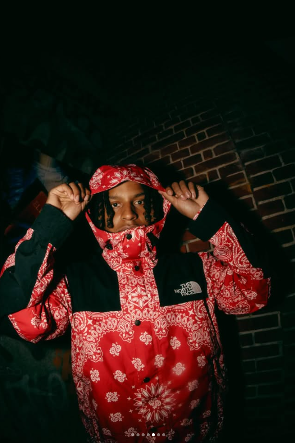 Supreme x The North Face red bandana mountain jacket